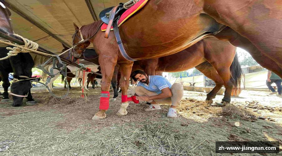 激情释放，挑战体育